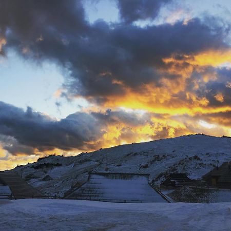 Chalet Gasparjeva Velika Planina Kamnik Εξωτερικό φωτογραφία