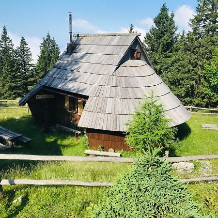 Chalet Gasparjeva Velika Planina Kamnik Εξωτερικό φωτογραφία