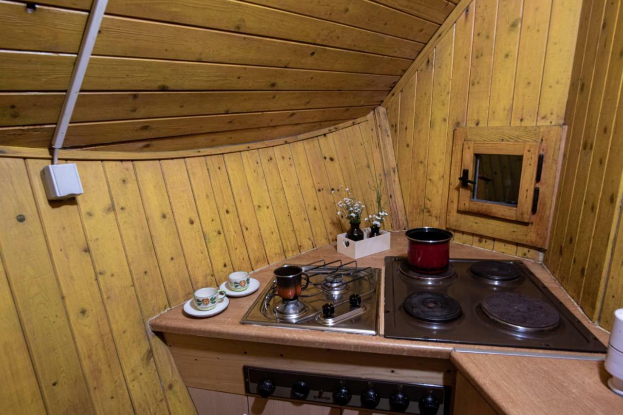 Chalet Gasparjeva Velika Planina Kamnik Εξωτερικό φωτογραφία